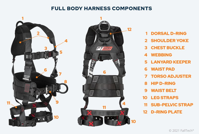 Full Body Harness